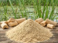 Kalmuswurzel geschält gemahlen