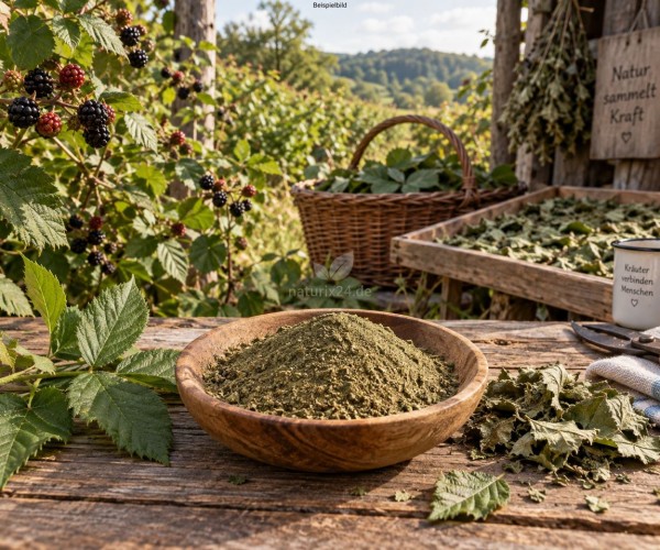 Brombeerblätter gemahlen