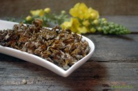 Königskerzenblüten ganz Königskerzenblüten ganz