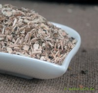 Ulmenrinde geschnitten Ulmenrinde geschnitten