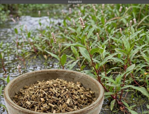 Wasserpfefferkraut geschnitten