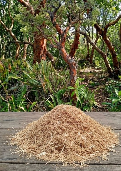 Palo Santo geschnitten