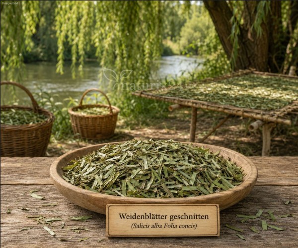 Weidenblätter geschnitten