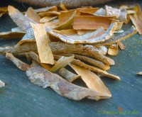 Angosturarinde Angosturarinde