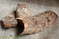 Chinarinde gelb ganz Chinarinde gelb ganz