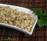 Angelikasamen ganz Angelikasamen ganz