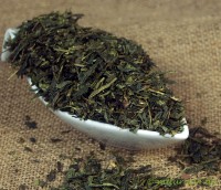 Grüner Tee Sencha