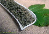 Walnussblätter geschnitten Walnussblätter geschnitten