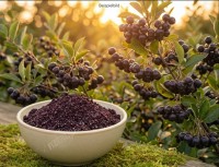 Apfelbeeren, Aroniabeeren gemahlen