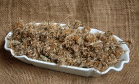 Arnikablüten mexikanisch ganz Arnikablüten mexikanisch ganz