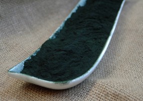 Spirulina platensis gemahlen Spirulina platensis gemahlen